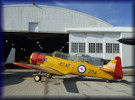 North American  Harvard